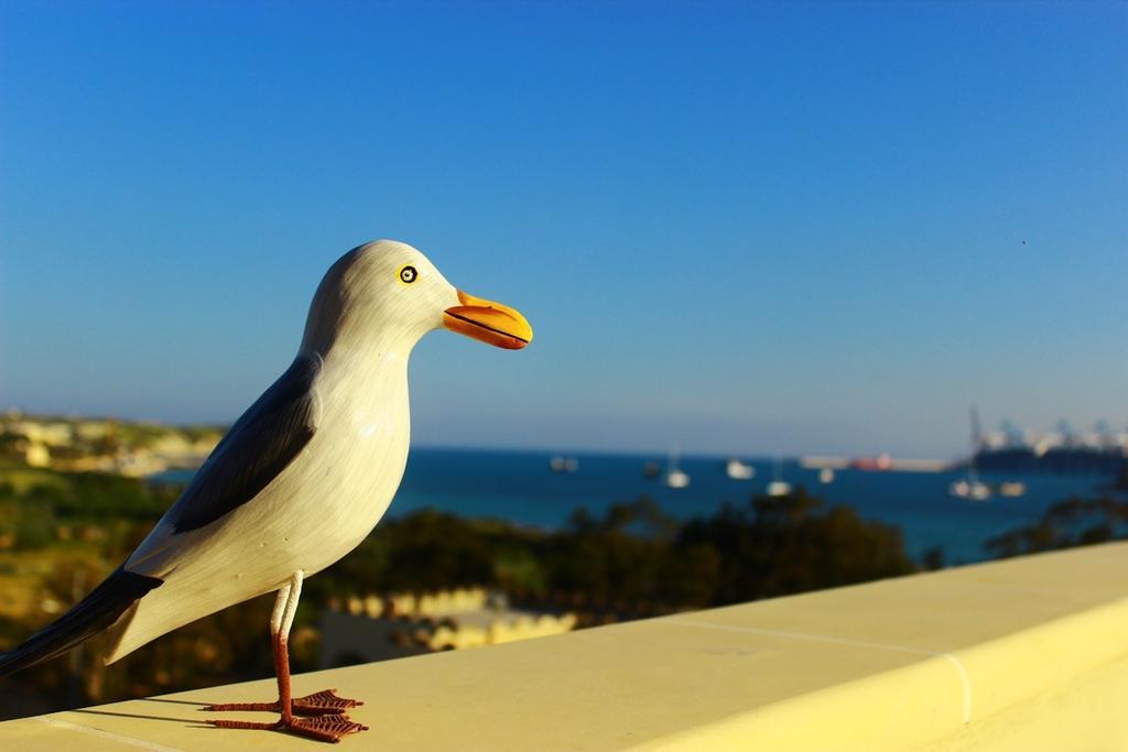 Seagull Penthouse Marsaxlokk Apartment Ngoại thất bức ảnh
