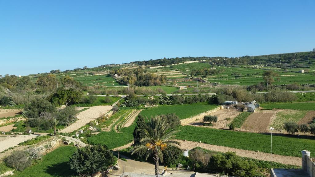 Seagull Penthouse Marsaxlokk Apartment Ngoại thất bức ảnh
